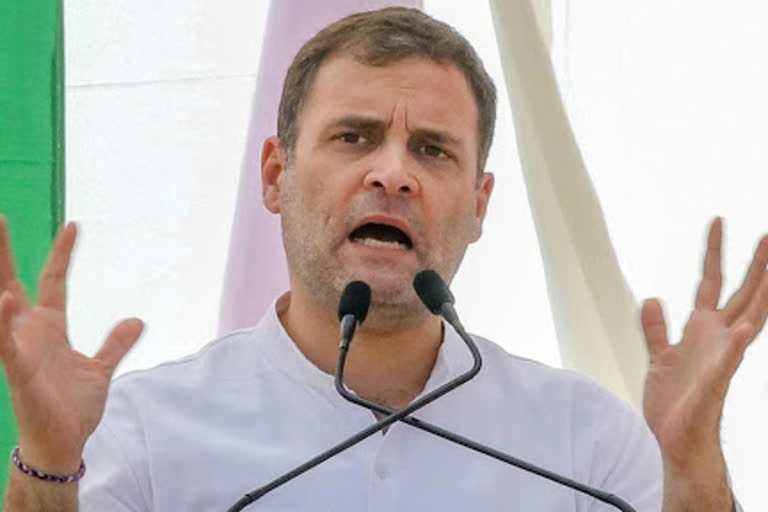 Modi has destroyed the web of relationships said Rahul gandhi