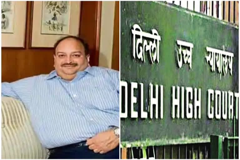 Is Netflix permitted to violate an individual's fundamental rights? Mehul Choksi asks Delhi HC