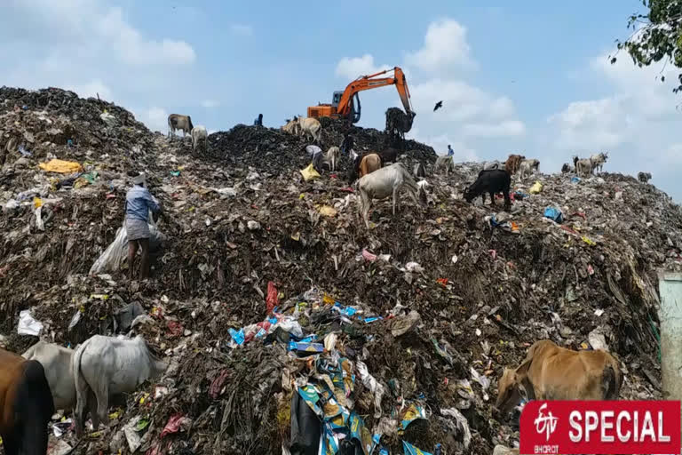 Rewa Garbage Dumping Plant