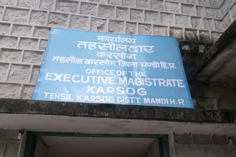 Naib Tehsildar in karsog