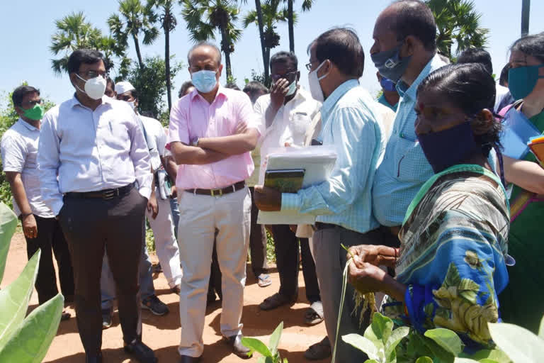 Commissioner of Agriculture visits  areas in Kodavalur