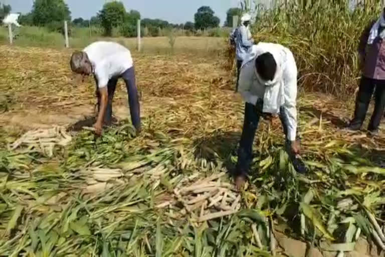 rewari farmers supported new agricultural ordinance