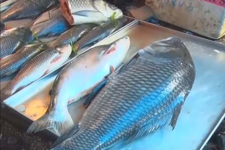 exported fish from myanmar is carrying threat to local fish producer