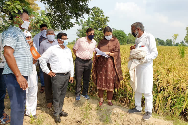 hisar DC inspected girdawri