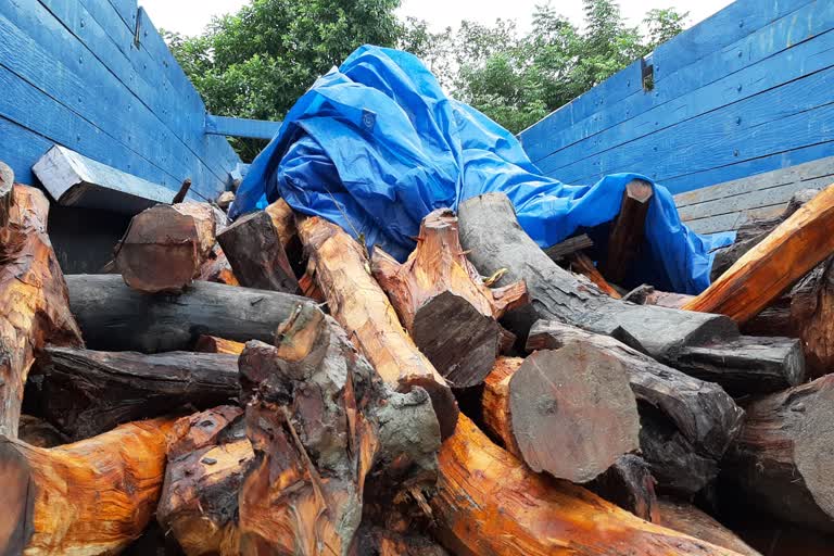 Chirang illegal timber seized