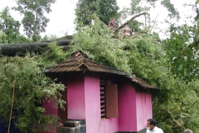 എറണാകുളം  കോതമംഗലം  നെല്ലിക്കുഴി  ഇരമല്ലൂർ  ചെറുവട്ടൂർ  വീട്  പൂർണമായും തകർന്നു  strong wind  kothamangalam  house collapsed