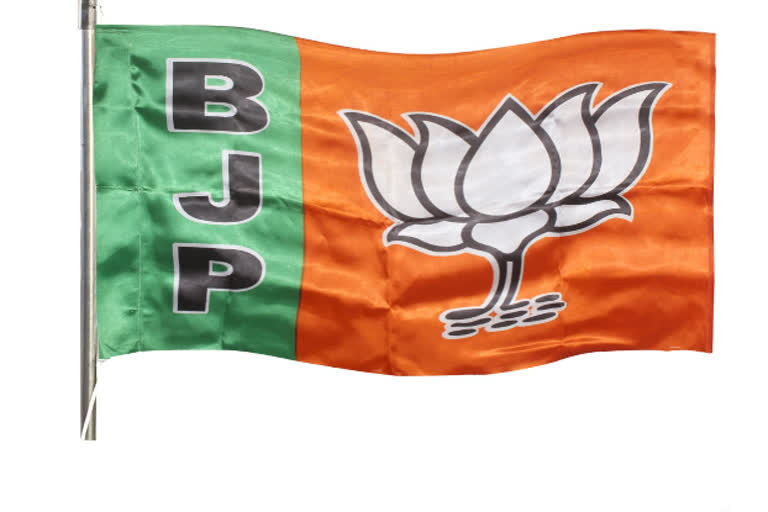 bjp tdp leaders house arrest in state wise