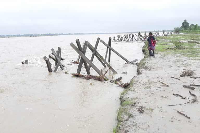 aie river erosion in Chirang assam etv bharat news