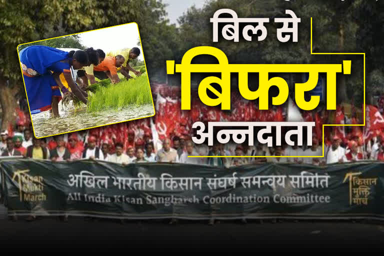 chhattisgarh-farmers-expressed-concern-over-on-central-government-ordinances