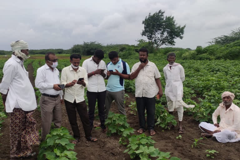 ಬೆಳೆ ಸಮೀಕ್ಷೆಯ ಗೊಂದಲ ನಿವಾರಣೆಗೆ 'ಬೆಳೆ ದರ್ಶಕ'