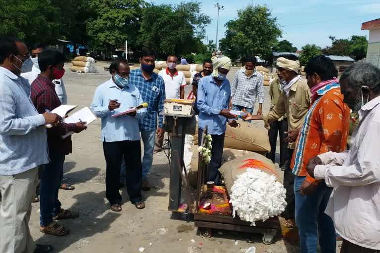 cotton sales started in warangal enamamula market yard