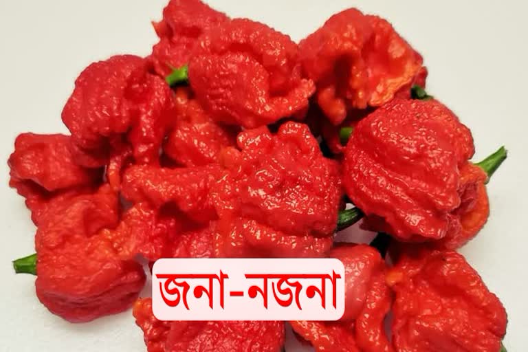 জনা-নজনা