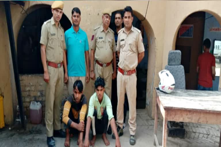 Cow smuggling case in Alwar,  Cow smuggler arrested in Alwar