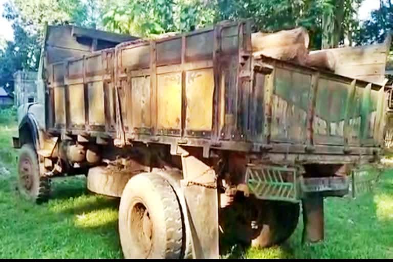 Forest department seizes a truck full of wood Hojai assam etv bharat news