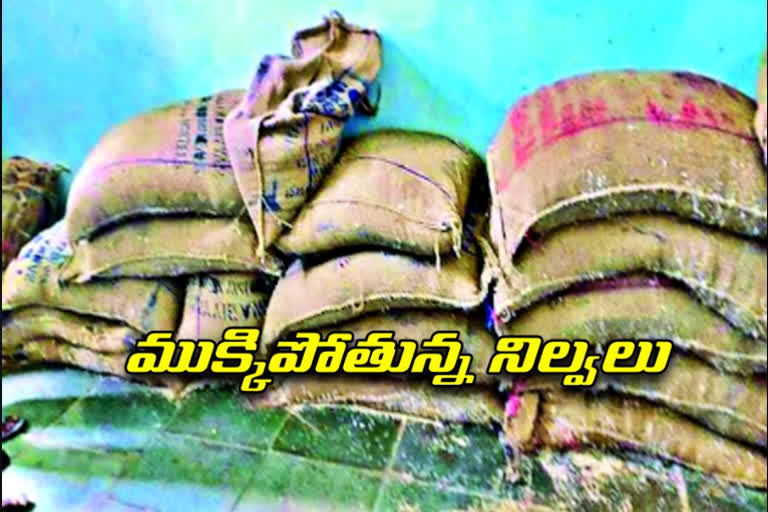 Rising rice stocks in government schools in Kumaram Bhim district