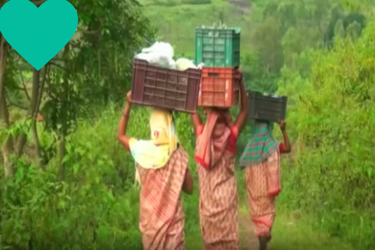 tribal-women-farmers-use-mobile-app-to-home-deliver-vegetables