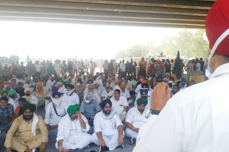 NRI youth join farmers' dharna in ludhiana