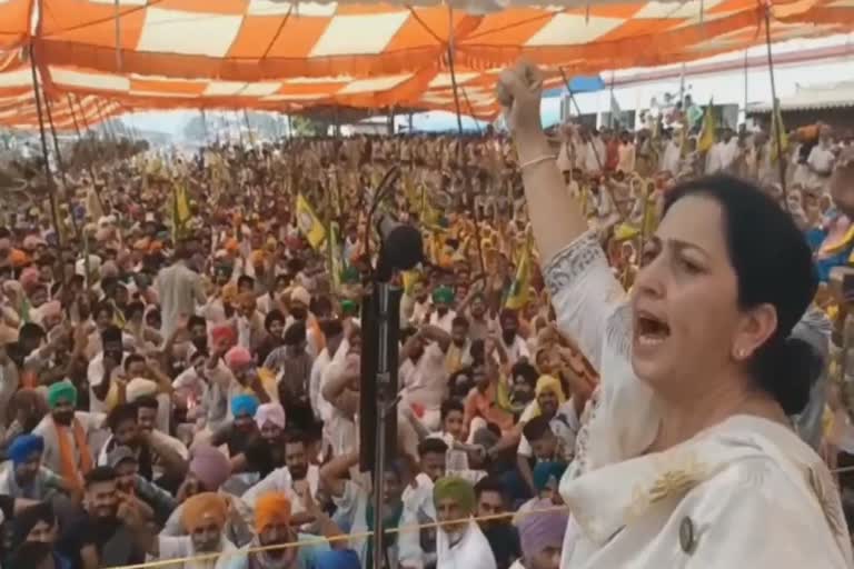 Punjabi actors join farmers' dharna in Barnala