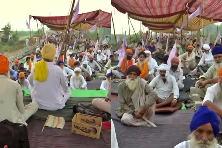 punjab protest