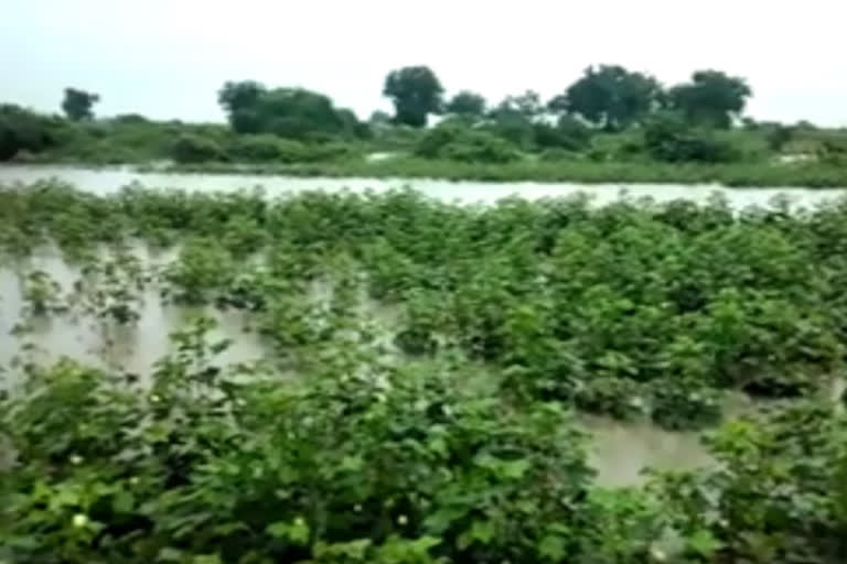 Heavy Rains in Vikarabad , Thandur.. Transportation Delayed