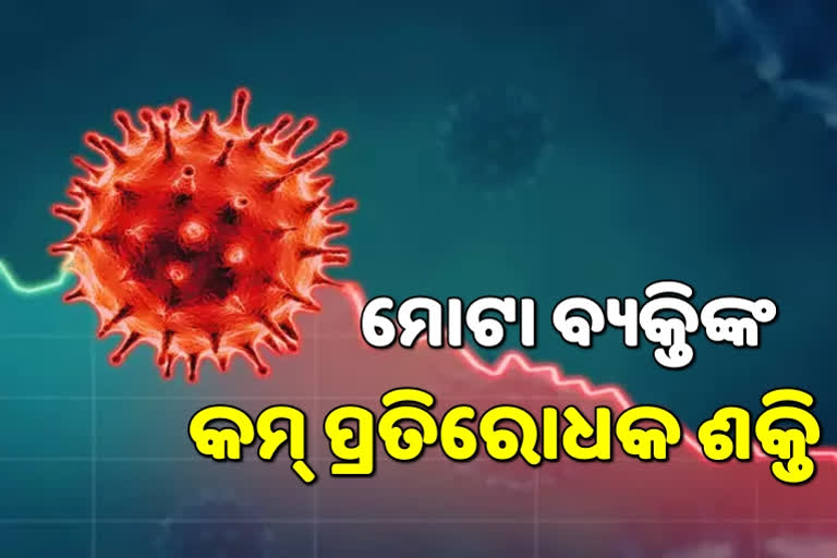 ମୋଟା ବ୍ୟକ୍ତିଙ୍କୁ ଅଧିକ ଘାତକ କୋରୋନା