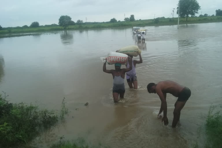 HEAVY RAINS IN KAMAREDDY AND CROPS DROWN IN WATER