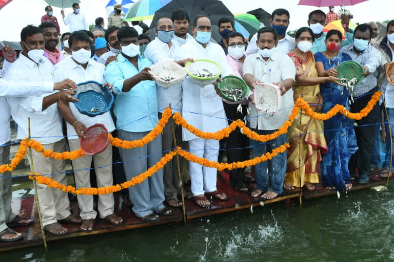 Wyra MLA Released 20 Lakhs Fishes In Wyra Project