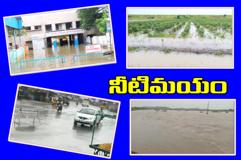 heavy rain in kadapa district in last 24 hours