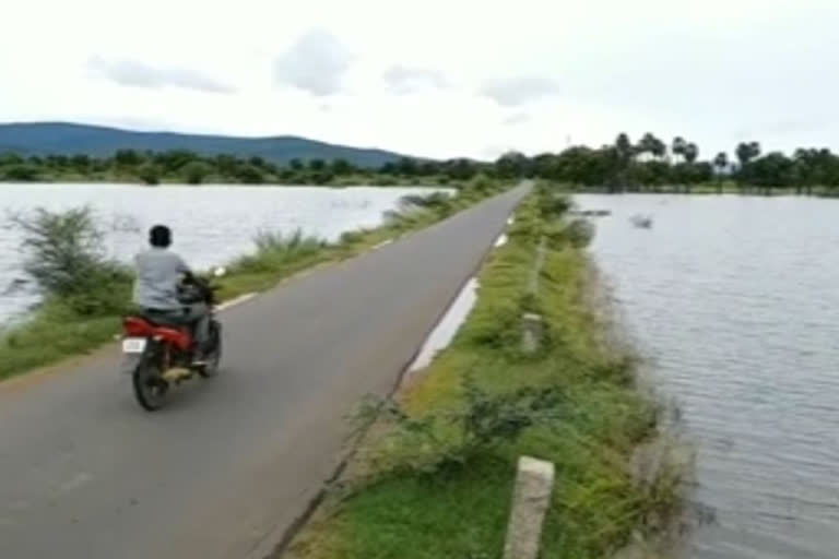 nelaturu village pond filled with water