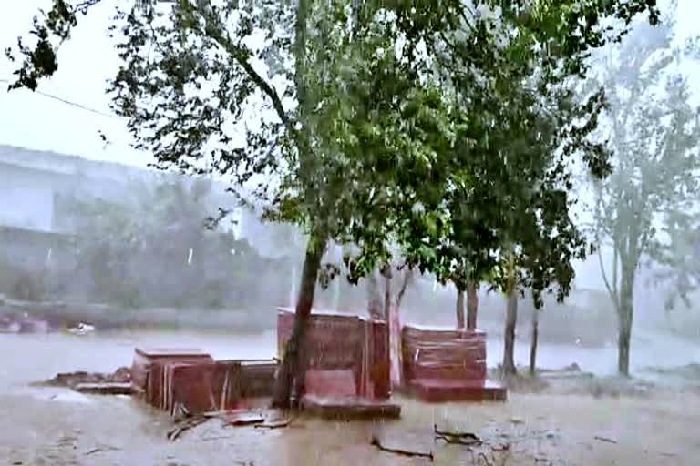 पेड़ गिरने से महिला की मौत, दांतलोठी गांव में तुफान, Bharatpur News, Storm in Danthalothi village