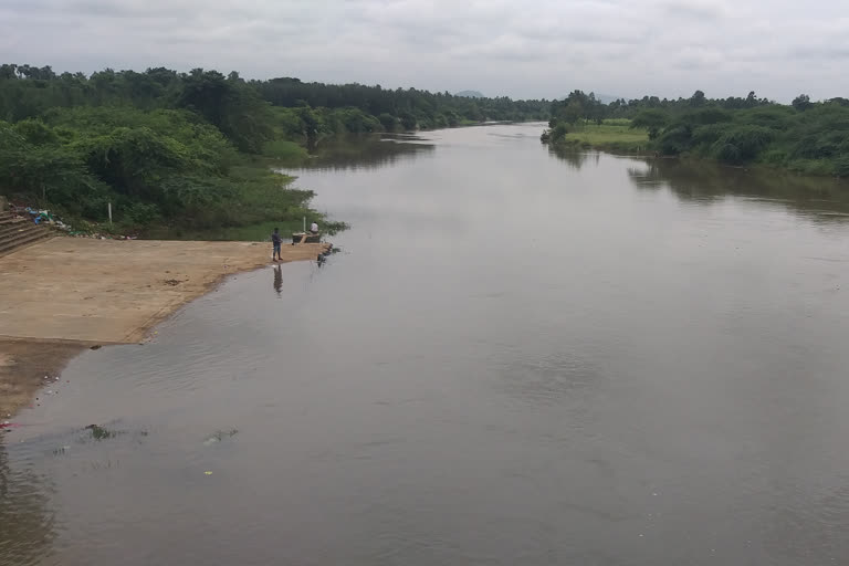 anakapalle sarada river filled with water