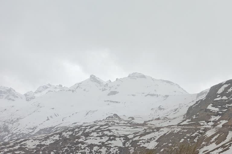 snowfall  in  Lahaul spiti