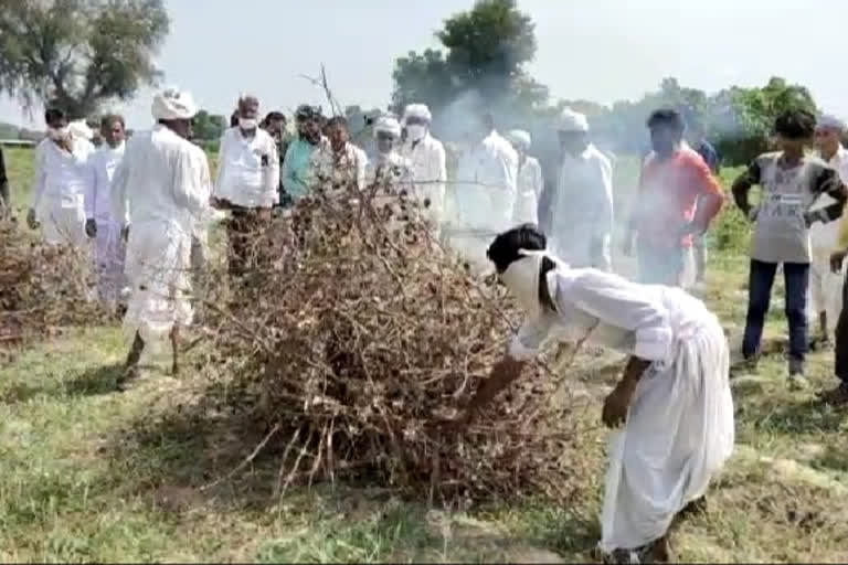 ETV BHARAT