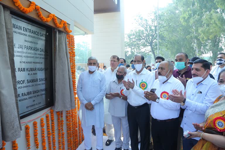 jp dalal inaugurates newly constructed gate at regional research center uchani in hisar