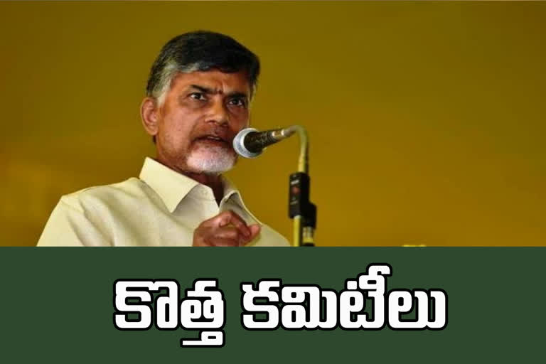 tdp-parlament-wise-presidents