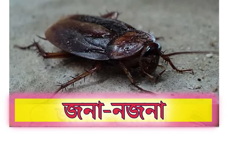 জনা-নজনা