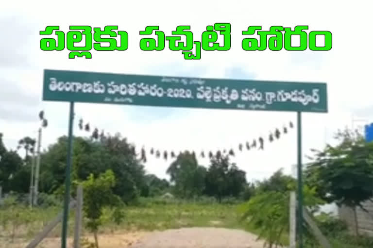 Palle Prakruthi Vanam Construction Works Speedup In Munugodu mandal In Nalgonda District