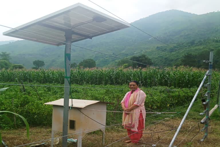 Solar powered fencing sirmaur