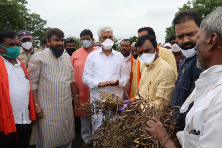 agriculture misnister dadaji bhuse demanded help to central governmant for crop lost in heavy rainfall