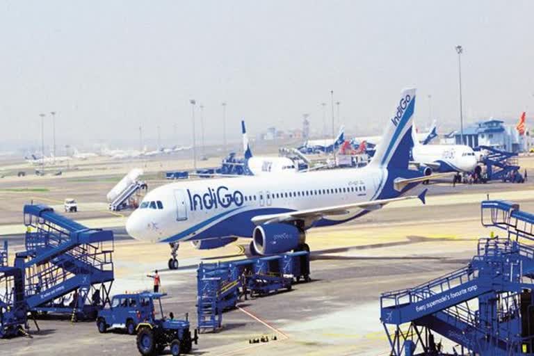 Delhi-bound IndiGo flight returns to Mumbai after bird hit  പക്ഷിയെ ഇടിച്ചു  ഇന്‍റിഗോ വിമാനം തിരിച്ചിറക്കി  ഇന്‍റിഗോ വിമാനം തിരിച്ചിറക്കി വാര്‍ത്ത  വിമാനം തിരിച്ചിറക്കി  മുംബൈ വിമാനത്താവളം വാര്‍ത്ത