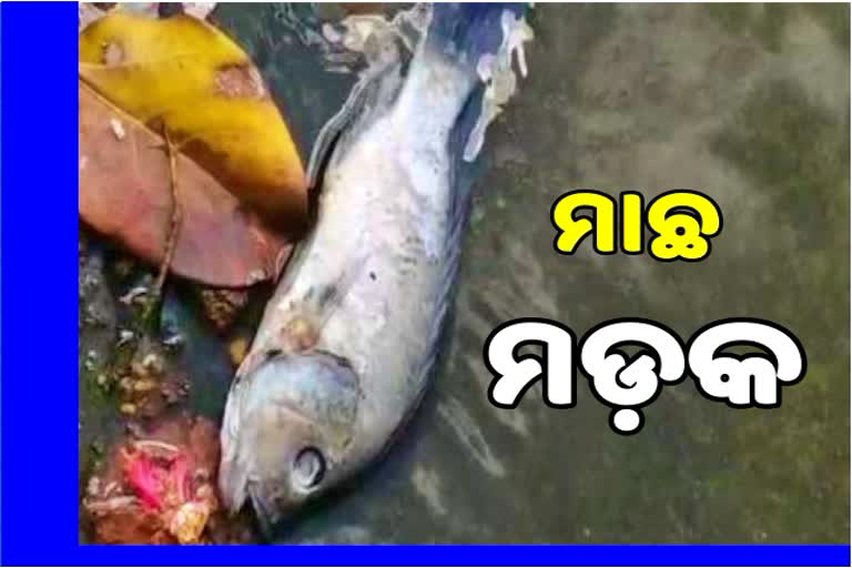 ତୀର୍ଥ ପୁଷ୍କରିଣୀ ଜଳ ବିଶୋଧନ ପ୍ରକ୍ରିୟା ଆରମ୍ଭ