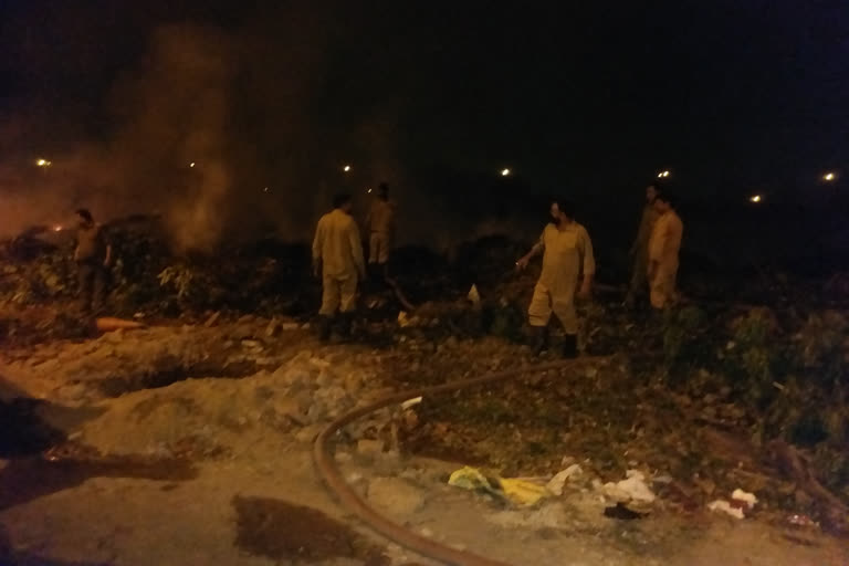 Delhi: Fire breaks out in bushes near Rajghat depot