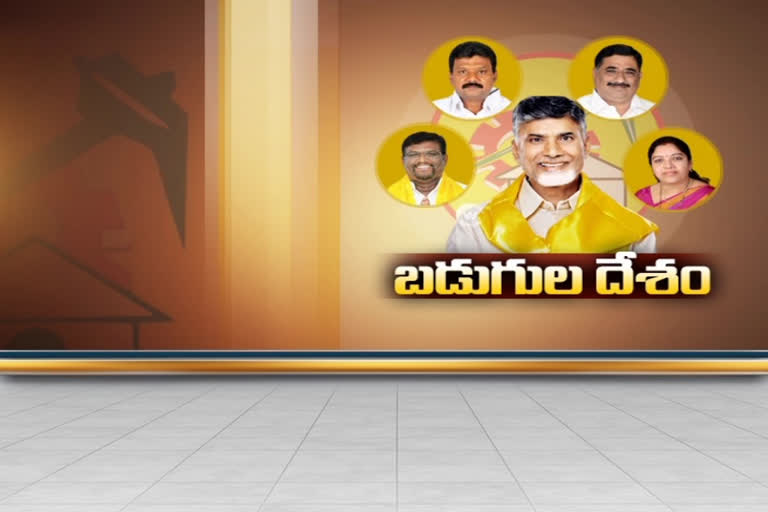 tdp parliament incharges