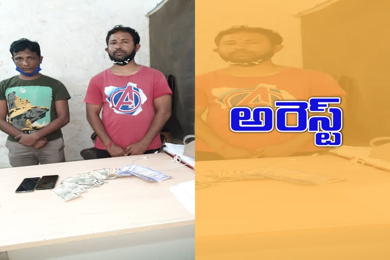 cricket betting gang arrest  by west zone task force police in hyderabad