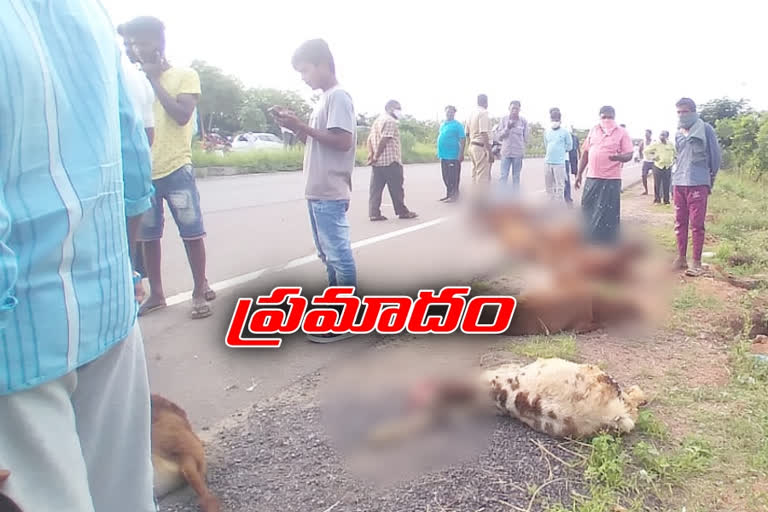 milk van crashed into a flock of sheep at karimnagar district