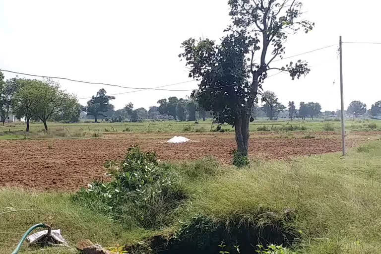 Dabangs occupy the temple land