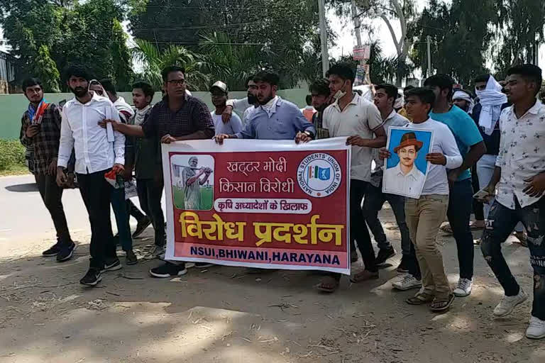 nsui protest against agriculture bills in bhiwani