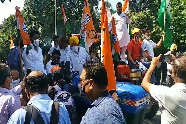 chandigarh congress protest against bjp on agriculture law