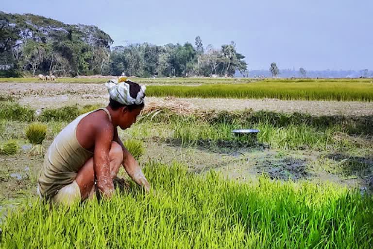 maharashtra-was-first-to-implement-agri-laws-in-august