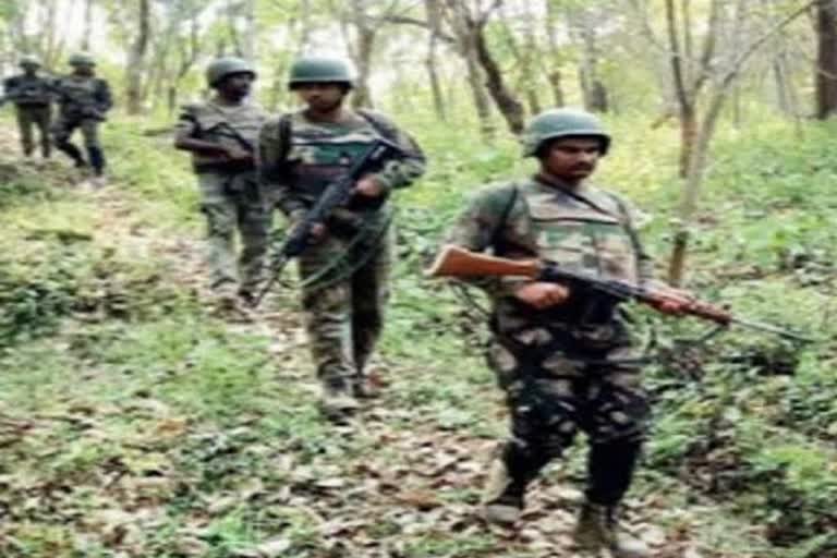 Maoist Killed In Chhattisgarh's Bijapur